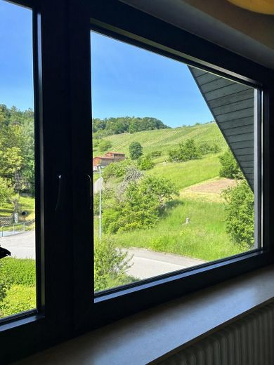 Wohnen zwischen Weinbergen und Wiesen – Ausblick Wohnzimmer