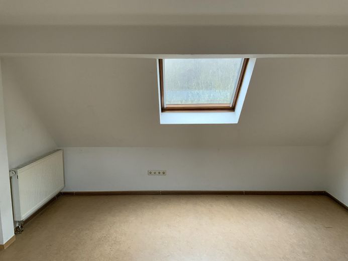 Großzügige Wohnung – Foto 5