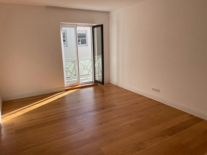 ZIMMER 1