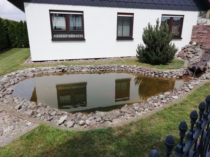 Einfamilienhaus plus Ferienhäuschen – Teich