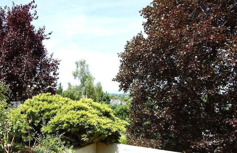 Südwest-Ausblick Titel