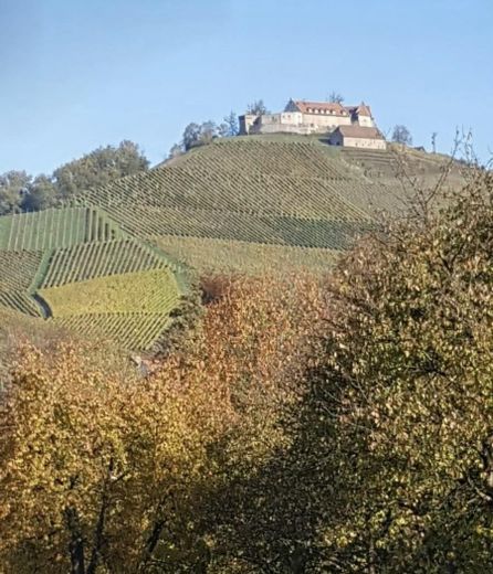 Bauplatz in Durbach, vom Traum zum Raum, Platz für 4 Wohneinheiten – Ausblick auf Schloss Durbach