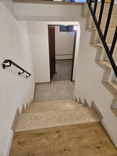 Abgang in den Keller