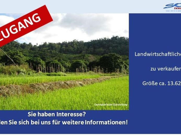 Großzügige Landwirtschaftsfläche in Untermaxfeld - Ein Objekt von SOWA Immobilien & Finanzen Ihrem Immobilienprofi vor Ort – Foto 1