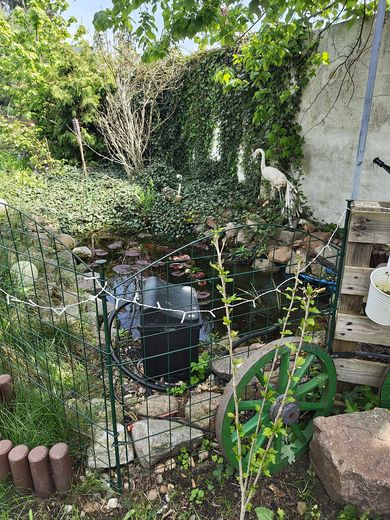 डेसाउ-रॉस्लाउ में कतारबद्ध मकान – Garten