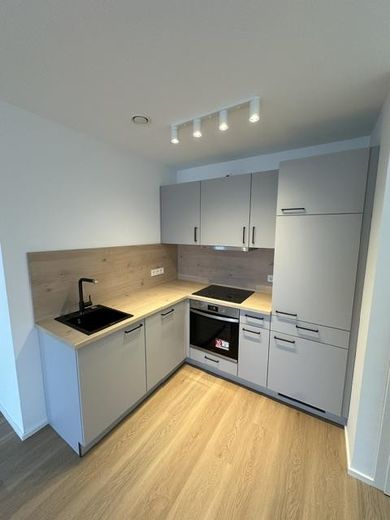 Neubau - Erstbezug - Maisonette - 3 ZW inkl. EBK, Balkon, Stellplatz, Keller, ca. 69m² Wfl. – EBK