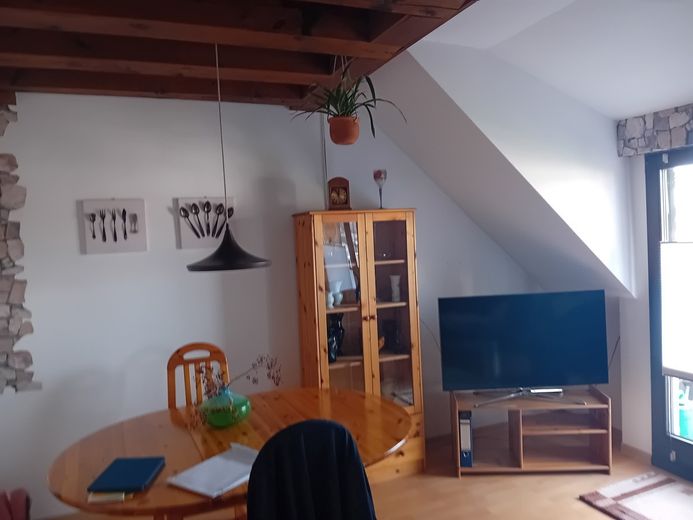 Maisonette Wohnung mit Charme zwischen Frankfurt und Darmstadt – Foto 5