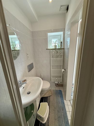 Gäste WC mit Dusche (EG)