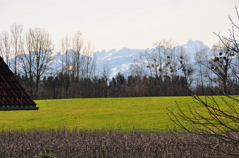 Weitsicht