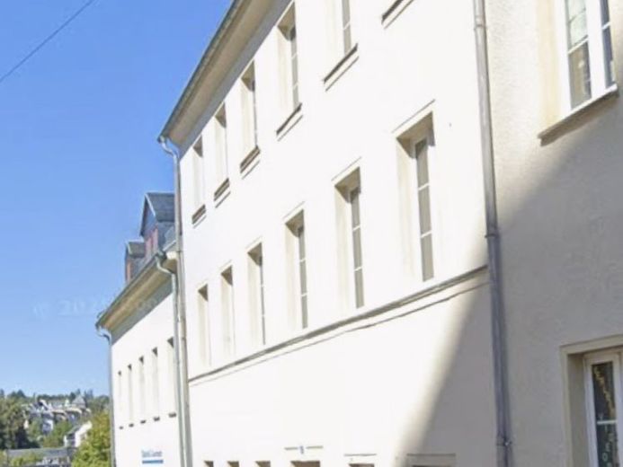Kapitalanlage mit Potential in Auerbach – Foto 1