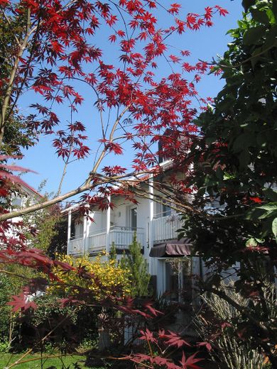 Blick vom Gartenweg SW