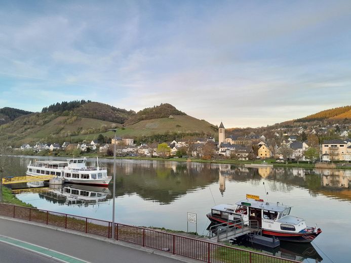 Mosel-Promenade Großzügiges Anwesen für Individualisten – Foto 11