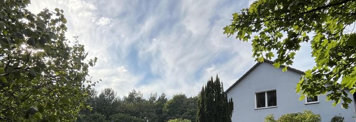 Blick in den Garten