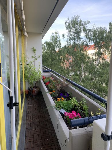 Rhein Bölgesi semtinde komisyonsuz ve aydınlık 2 odalı daire – Fotoğraf 2