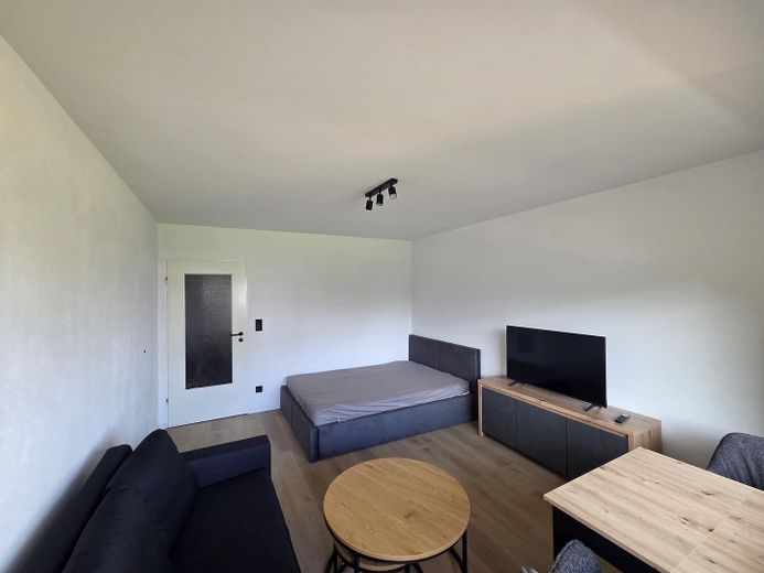 Wohn-und Schlafzimmer