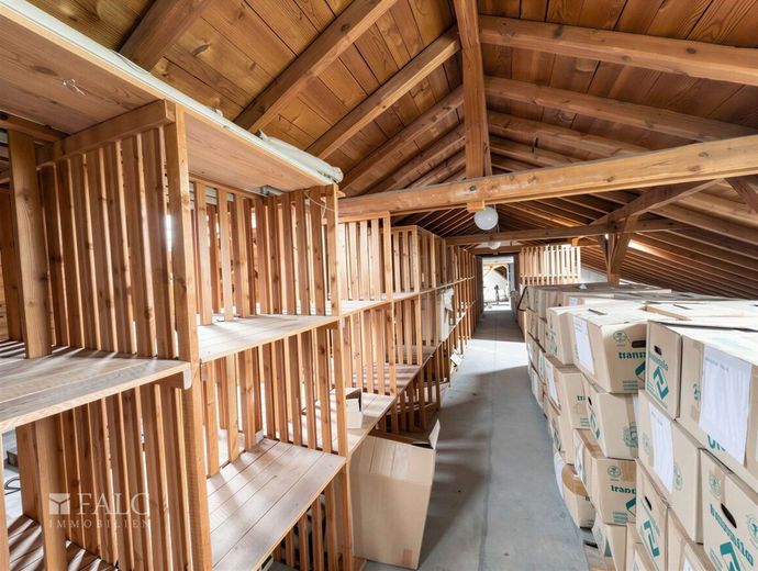 Loft, Wohnen oder Gewerbe - 2.800 m² Entwicklungspotenzial sichern – Dachboden - (KI generiert)