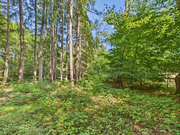 Wochenendgrundstück in traumhafter Lage - Verstecktes Paradies für Ruhesuchende! – Bild 4