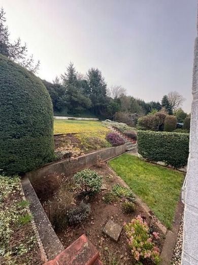 ARCHITEKTENHAUS - beste Wohnlage - besondere Immobilie - Garten und weiter Raum rundum! – 6 Garten
