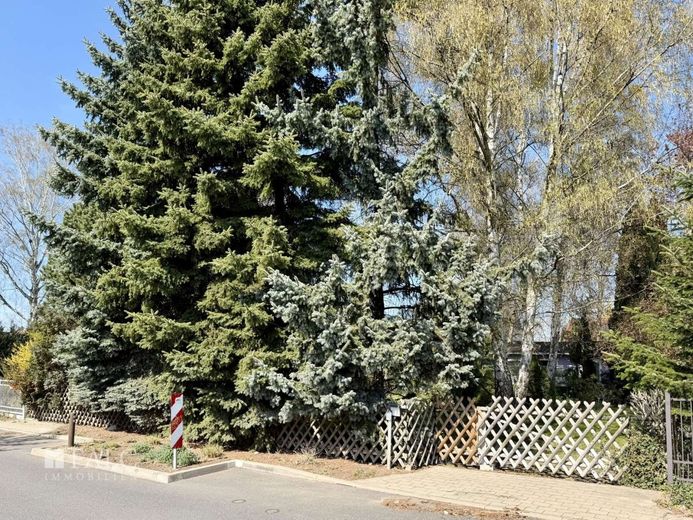 Teltow-Seehof: Ihr Grundstück zwischen Stadt und Natur! | Bauträgerfrei. – Straßenseite