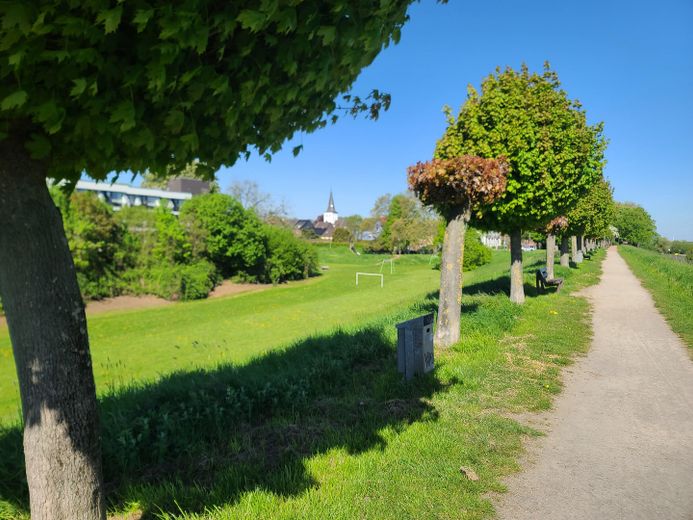 Wohnen direkt am Rhein in Orsoy .... – Rheindeich 1 Frühling
