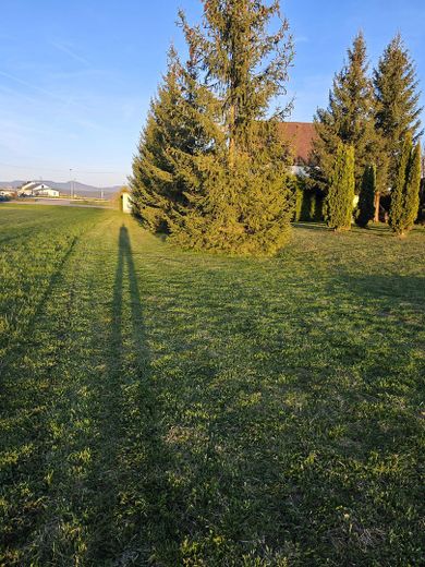Sogar der Schatten ist größer