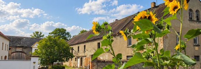 Idillio di tenuta: 438 m², 1 bifamiliare completamente ristrutturata e altro ancora. Vicino a gru e castori, presso la riserva naturale