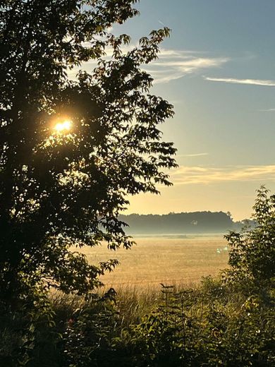 Feld am Ende der Stichstraße