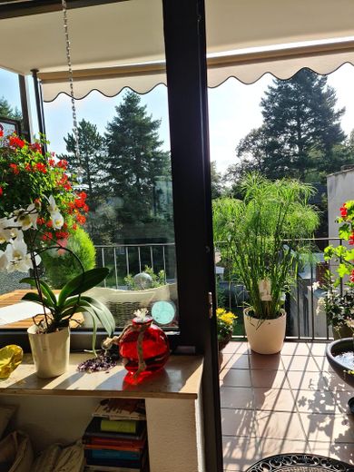 Helle 3 Zimmer-Wohnung in Eicken – Blick nach draußen