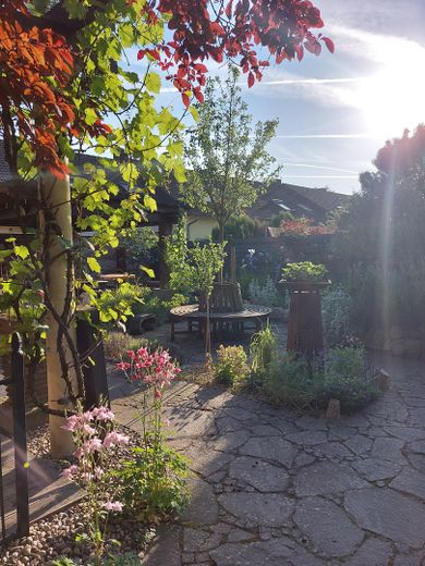Garten / Blick Richtung Westen