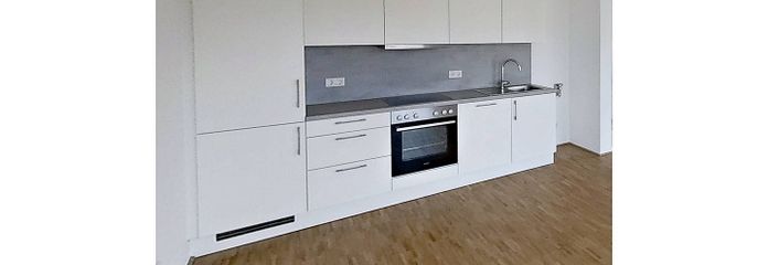 Perfekt für Singles: 1-Zimmer-Apartment mit EBK im Neubauquartier "Großherzog Friedrich Höfe" – Einbauküche mit Waschmaschine…