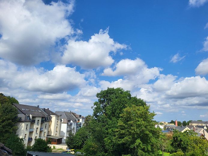 5 Raum-Wohnung mit Dachterrasse und privatem Garten – Foto 2