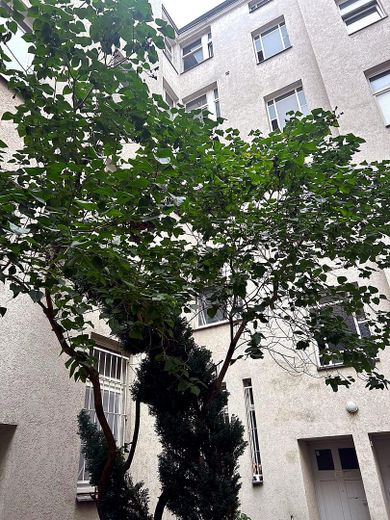 Berlin’de EBK’li, özel ve yüksek kaliteli mobilyalarla döşenmiş 1 odalı atölye dairesinde süreli konaklama – Baum