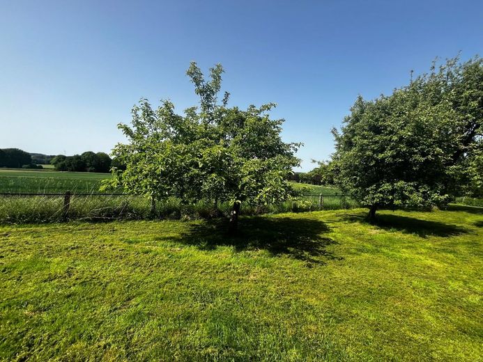 Resthof in Spenge mit der Option auf 1 ha Weide´für Pferdeliebhaber – Garten