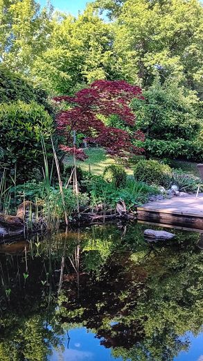 Teich