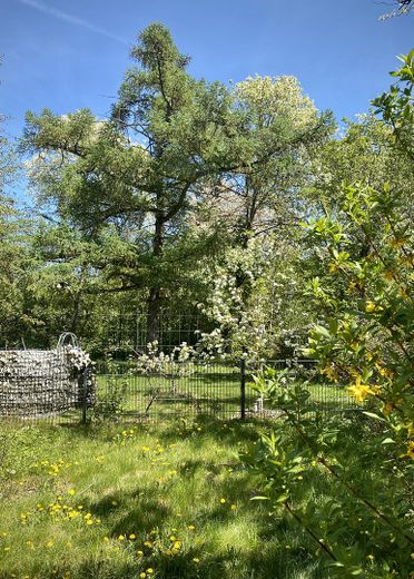 Gartenblick