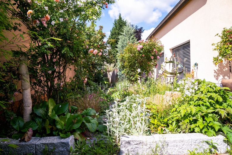 Casa passiva PLUS di architetto, classe energetica A+ (5,0 kWh/m²a) a Weisenheim am Sand – Garten Südseite