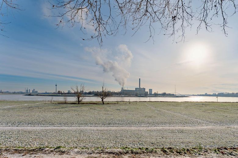 Rheinaue in 100 m Entfernung