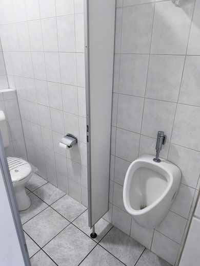 Gewerbehalle / Lagerhalle / Halle 624qm / Büro 247qm in 91126 Rednitzhembach – WC Herren im EG