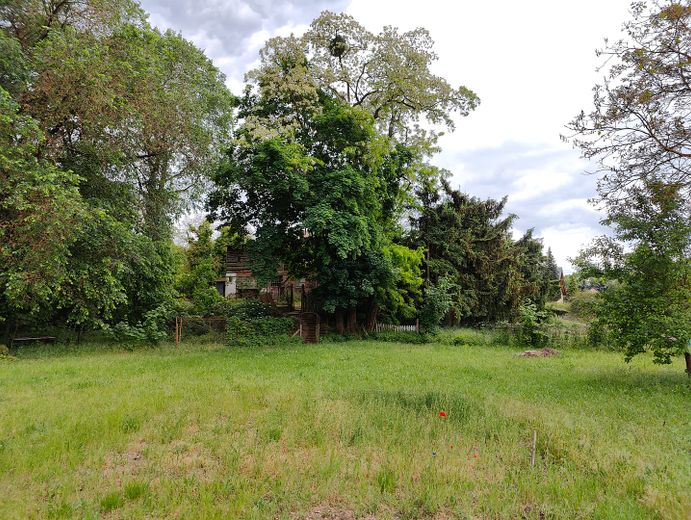 Blick über Wiese zur Werkstatt