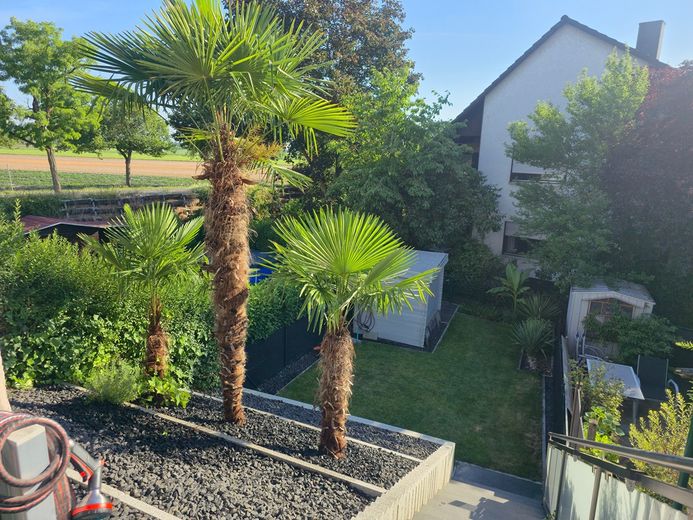 Modernisiertes Reihenmittelhaus mit Doppelgarage, PV-Anlage, Klima und hochwertiger Ausstattung – Foto 3