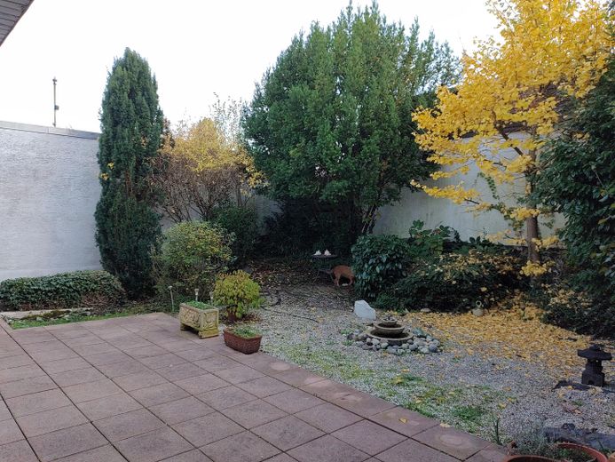 Großzügiges Reihenmittelhaus mit 222m² in Muffendorf, Einliegerwohnung und sonnigem Atriumgarten – Garten im Herbst