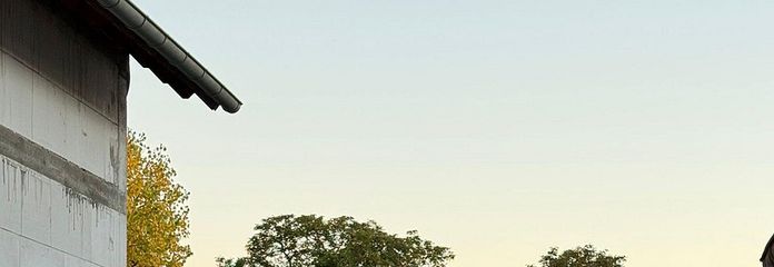 Blick Richtung Garten 