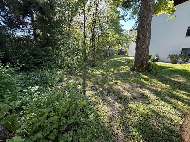 Parkähnliches Grundstück 3
