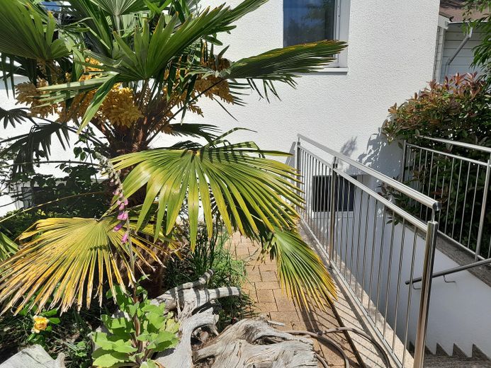 Hinterer Ein- und Ausgang