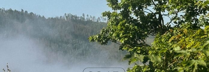 Rarität: Exklusives Ferienhaus mit Seeblick - Ihr privates Refugium am Thüringer Meer
