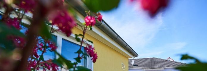 Bad Doberan: Modern bungalow with sauna, fireplace & sunny terrace in a quiet location