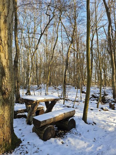 Landhaus mit Wintergarten und viel Nebengelaß wahlweise mit 2,8ha Wald dahinter – Winter im Wald