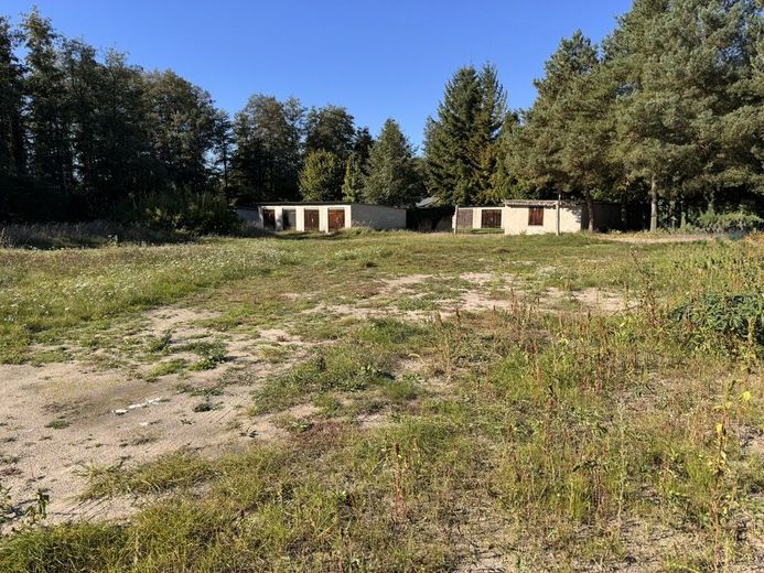 HORN IMMOBILIEN ++ Baugrundstücke in Eggesin – Grundstück