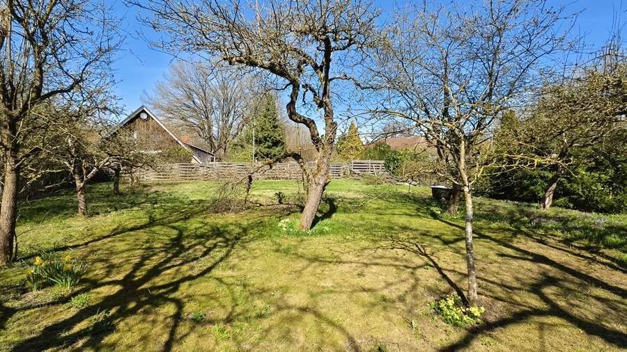 Eldingen - Verborgene Perle: Einfamilienhaus + Garten + Obstbäume - wer erweckt mich zu neuem Leben – Gartenansicht 3