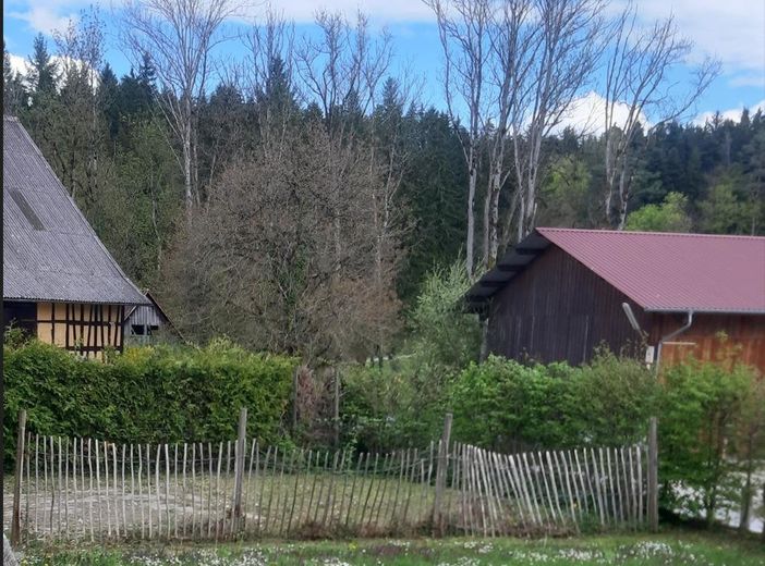 Garten / Hof